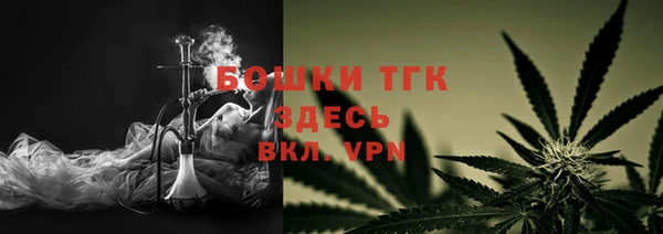 хмурый Лиски