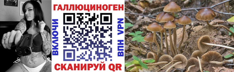 Галлюциногенные грибы MAGIC MUSHROOMS  Ковров 