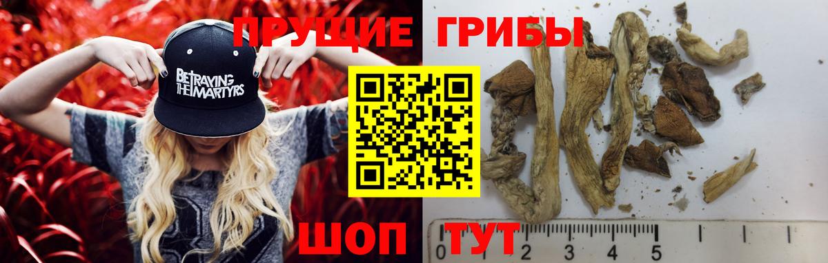 Псилоцибиновые грибы Cubensis  где купить   Ковров  Галлюциногенные грибы мухоморы  Вход с VPN 